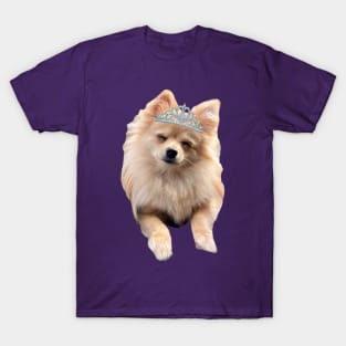 Princess Puffins Pomeranian T-Shirt